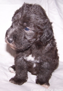 Alanna 26042006-1.jpg